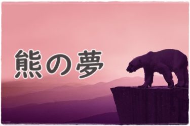 《夢占い》熊の夢＊強さと優しさと母性。の夢