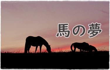 《夢占い》馬の夢＊力強いパートナーシップ